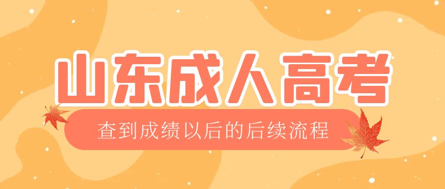 汶上成考查完成绩以后做什么，汶上成考网